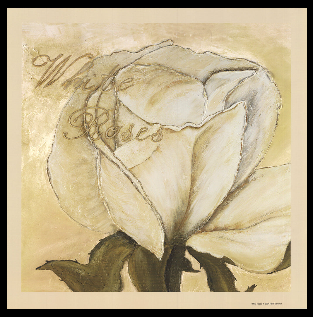 Gerstner, Heidi - Roses blanches, 2004 - offset couleur