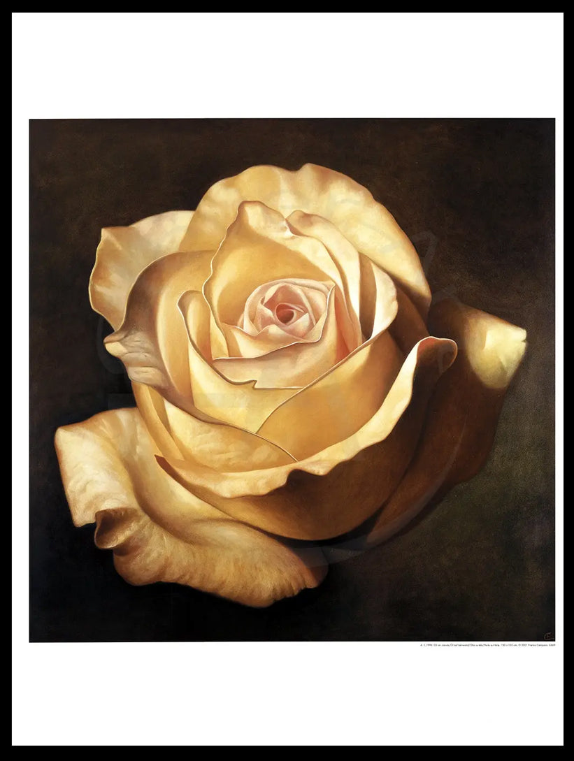 La Magie de la Rose - Campana, Franco - Rose Jaune - Estampe