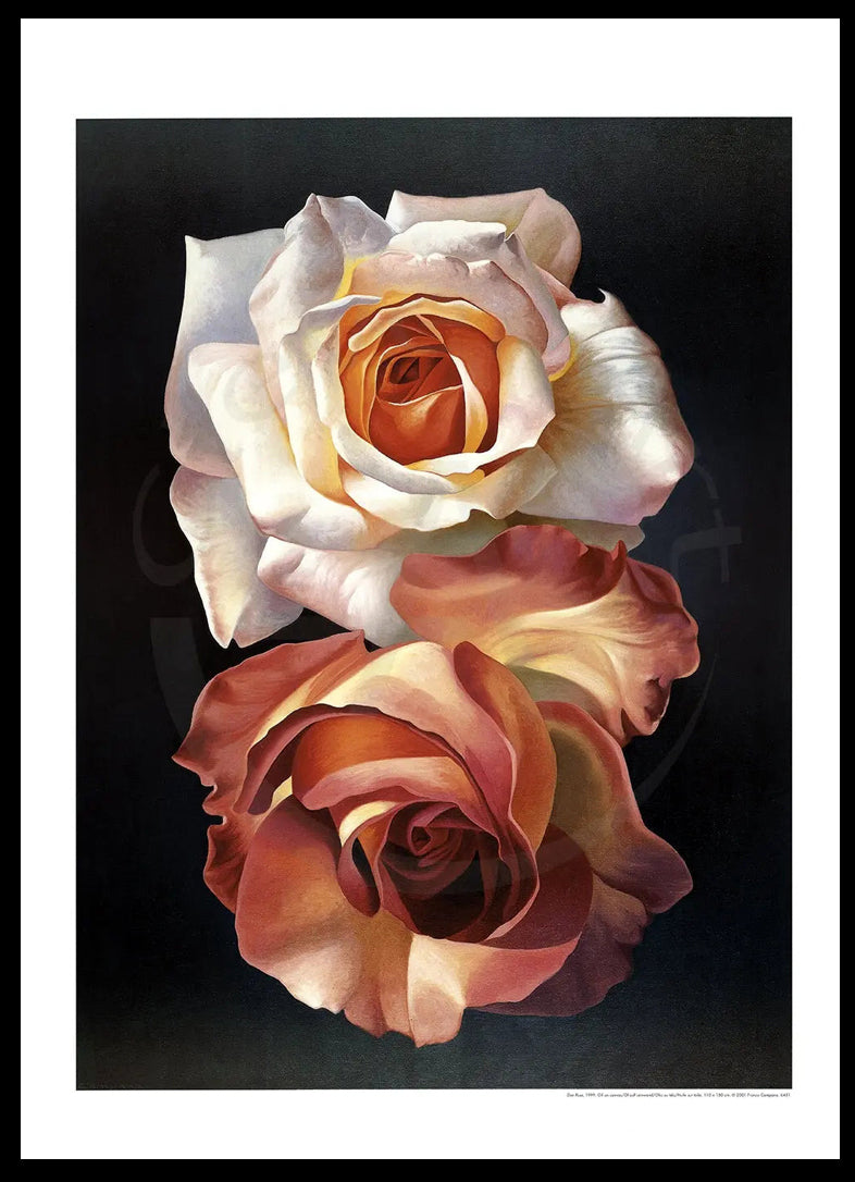La Magie de la Rose - Campana, Franco - Due Rose - Estampe d'art
