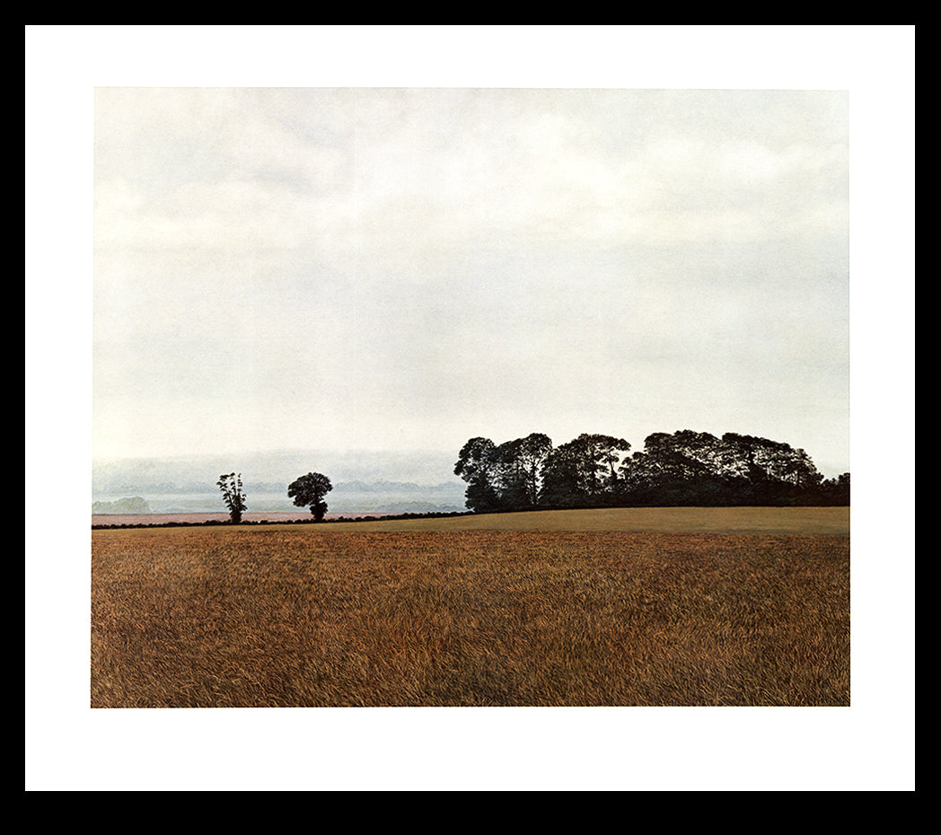 Caston, Richard - Fields - Lithographie offset couleur