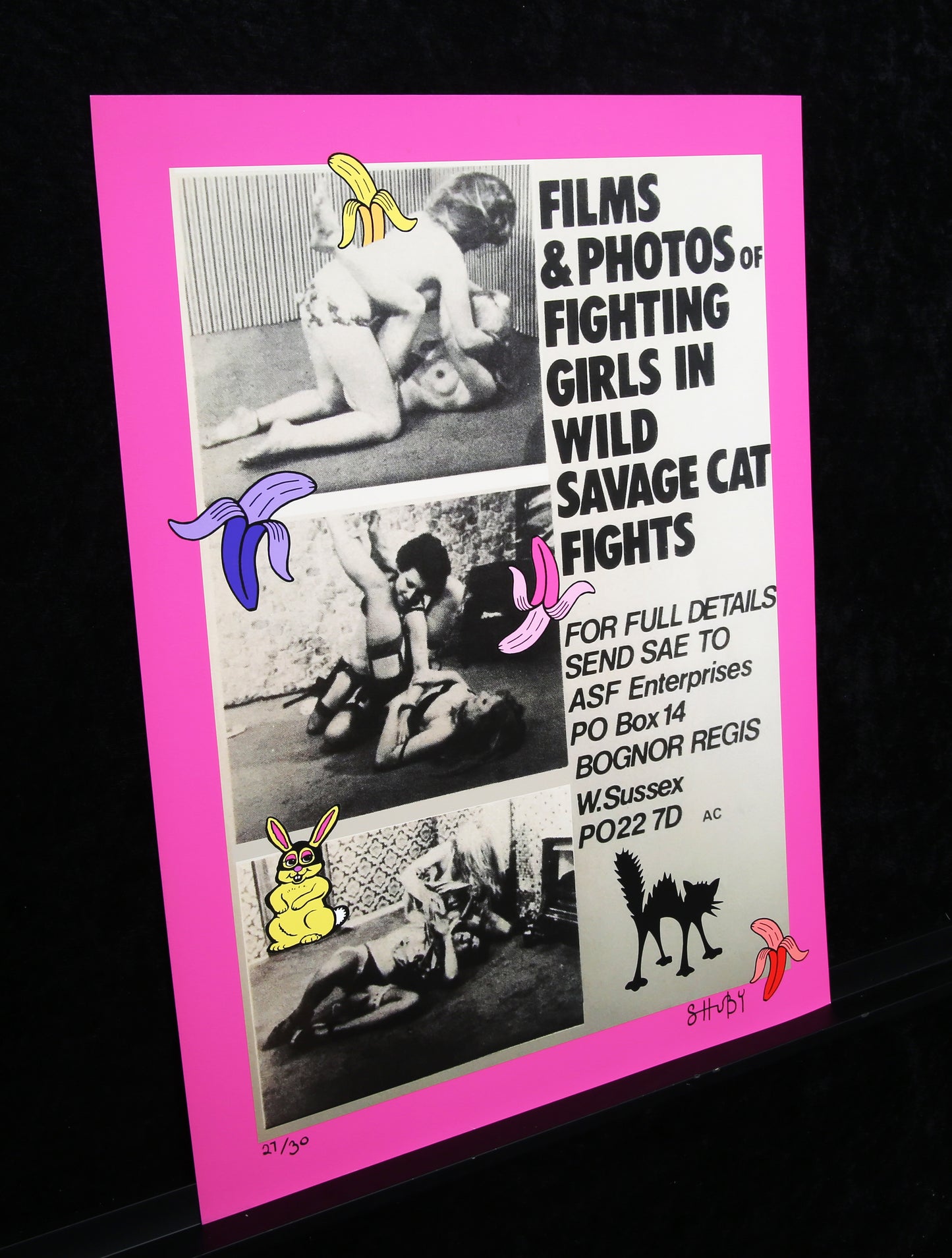 Shuby - Combats de chats sauvages - Giclée - signé à la main