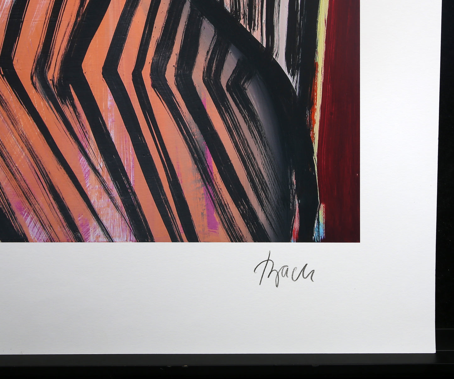 Bach, Elvira - Anthurien (Deluxe), 2020 - Giclée - Archiv - handsigniert