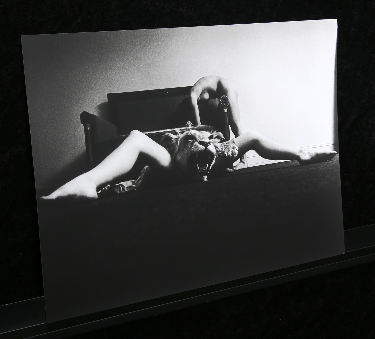 Székessy, Karin - Girls as Still Lifes - 6 Original b/w Photographs - hand signed
