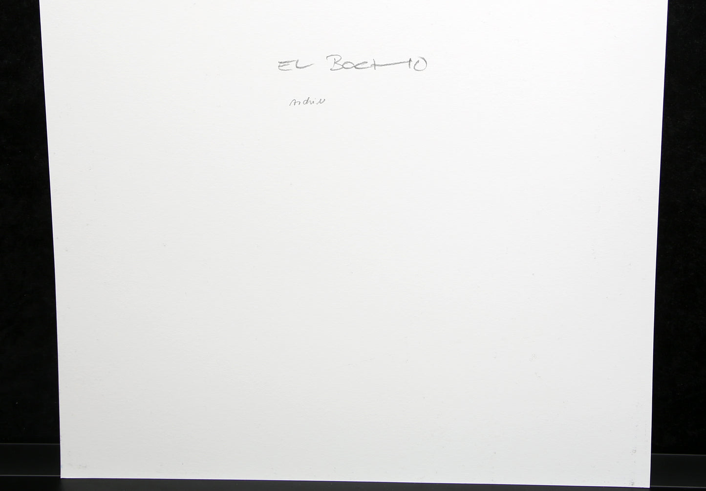El Bocho - Wild Girl - 2019 - Giclee - handsigniert