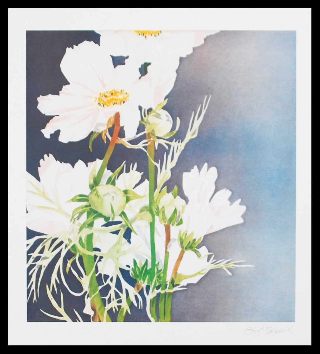 Bukovnik, Garry - Pivoine - blanche - tirage d'art - signé