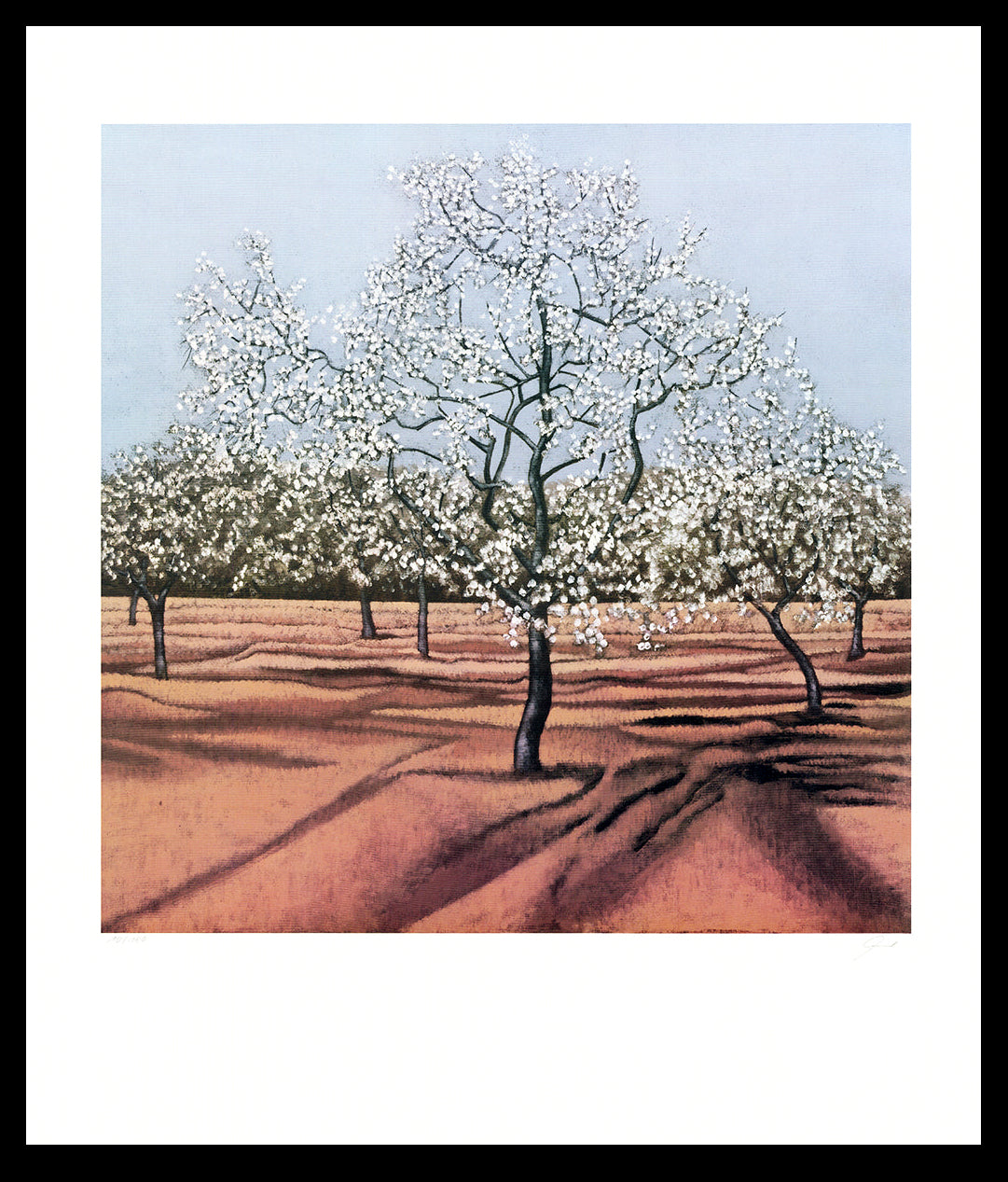 Taubert, Gerhard - Arbres en fleurs - Lithographie offset couleur - signée à la main