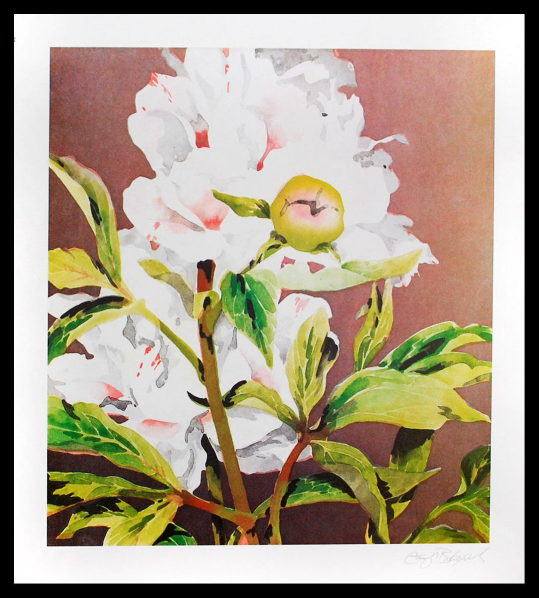 Bukovnik, Garry - Pivoine - Tirage d'art - Signé