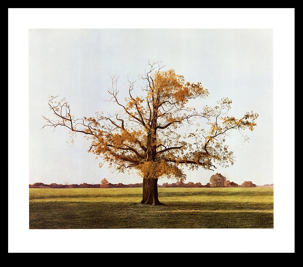 Caston, Richard - Landschap met herfstboom - kleurenoffsetlithografie