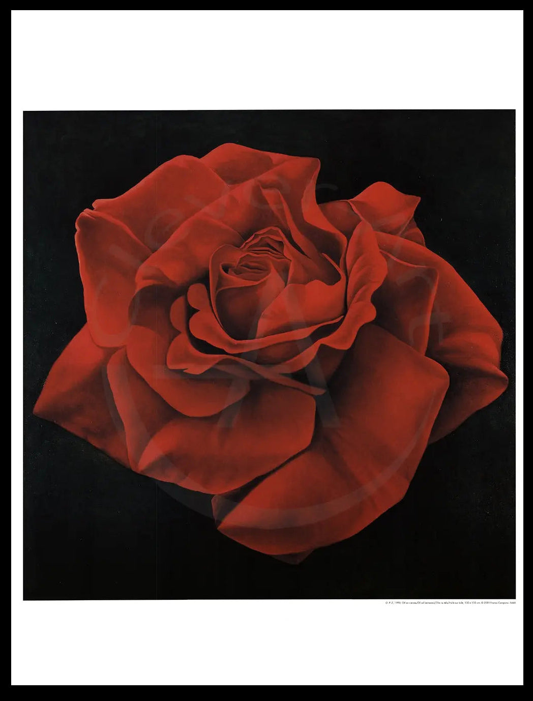 La Magie de la Rose - Campana, Franco - Rose Rouge - Estampe