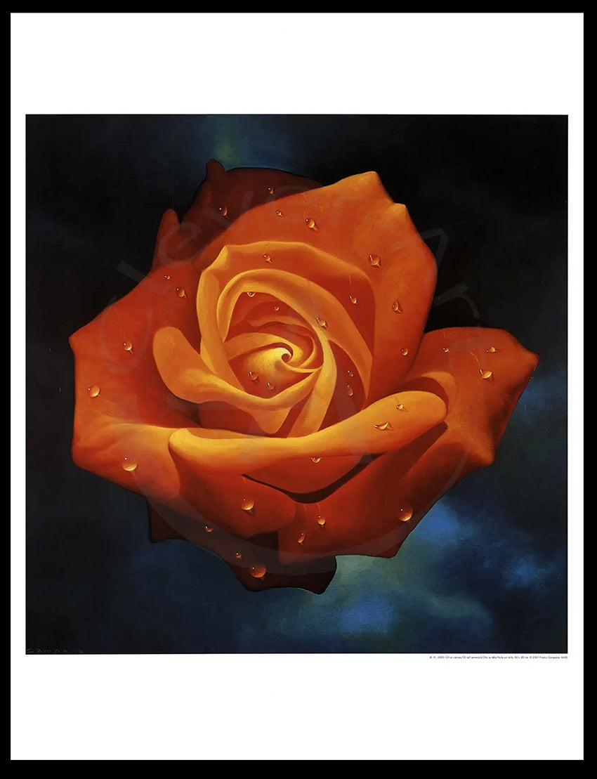 La Magie de la Rose - Campana, Franco - Rose Orange - Estampe