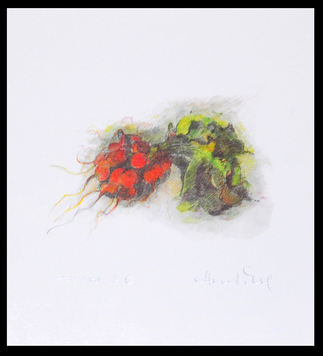 Hentschel-Holterdorf, Helga - Radis - Artistes du monde - signé à la main