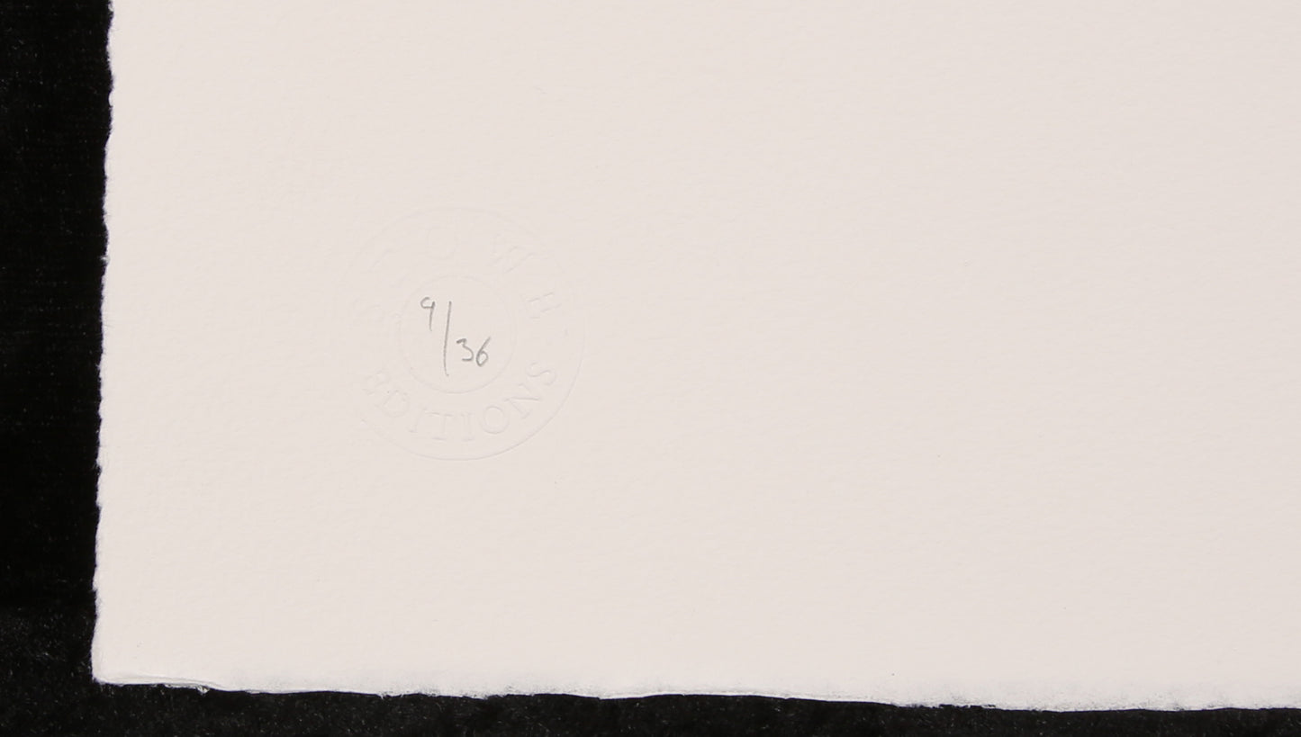 Banksy - Clown Skateboards / Document - Siebdruck, zertifiziert und limitiert Clever-Art