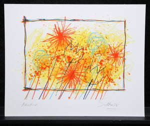 Descriptive image text