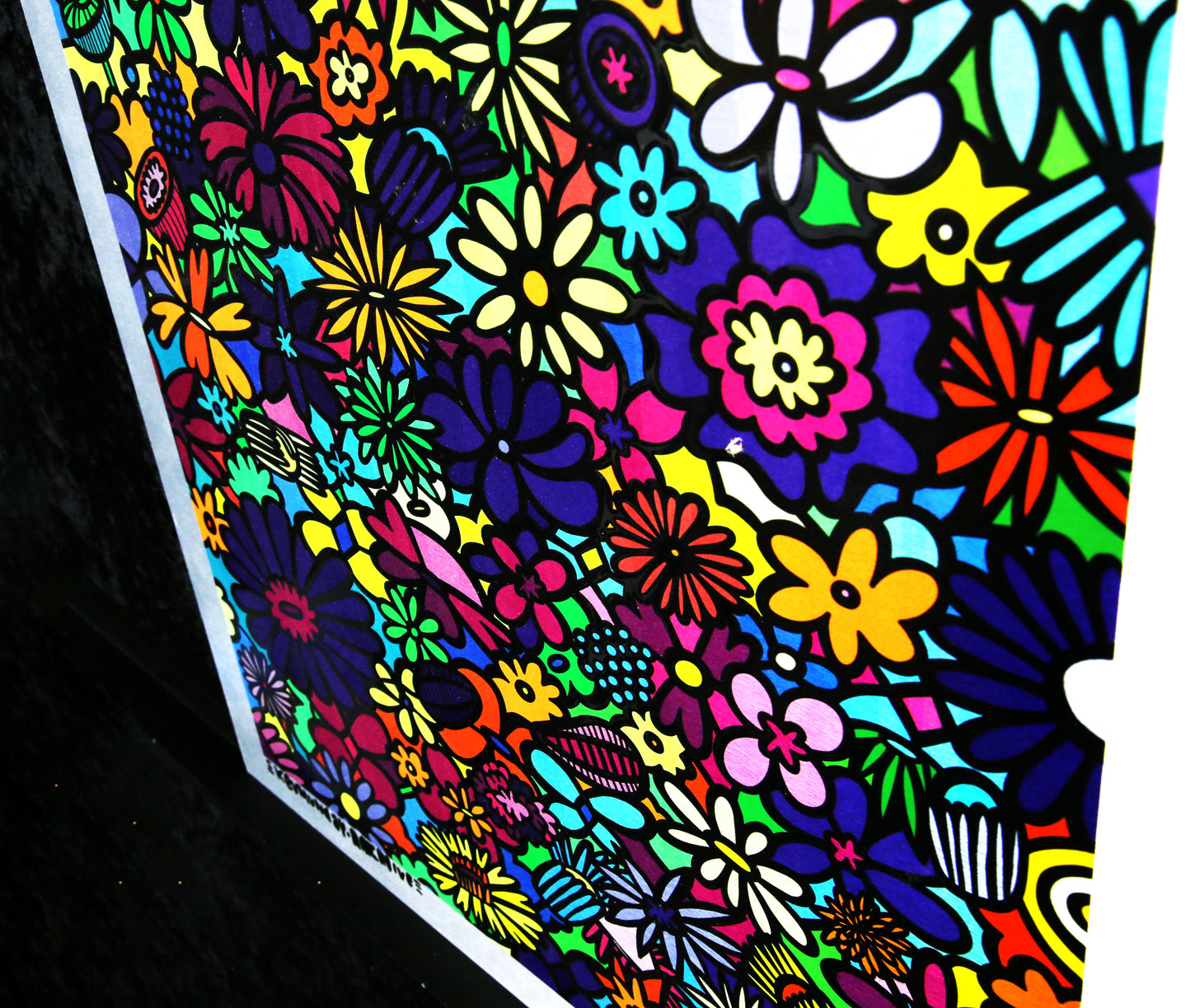 Munday, Kev - Space To Grow - UV-print/lak aluminium - handgesigneerd