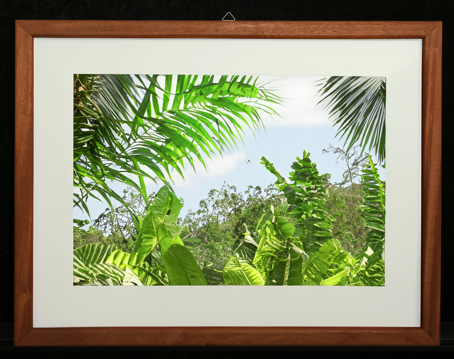 Cadre photo - bois massif - cadre interchangeable - plexiglas - 70 x 56 cm