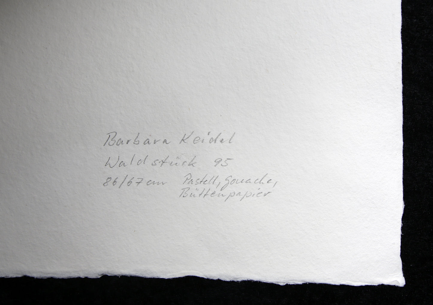 Keidel, Barbara - Waldstück - 1995 - Mischtechnik - handsigniertes Unikat