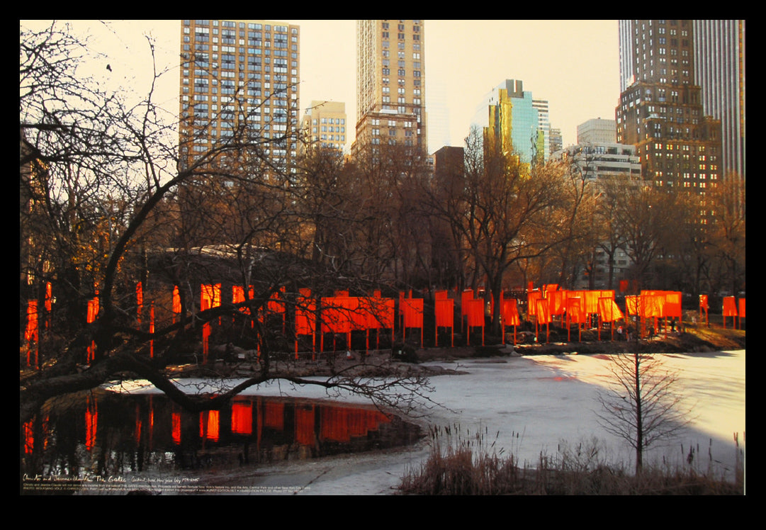Christo - The Gates - New York Central Park - Farboffset, Foto W. Volz
